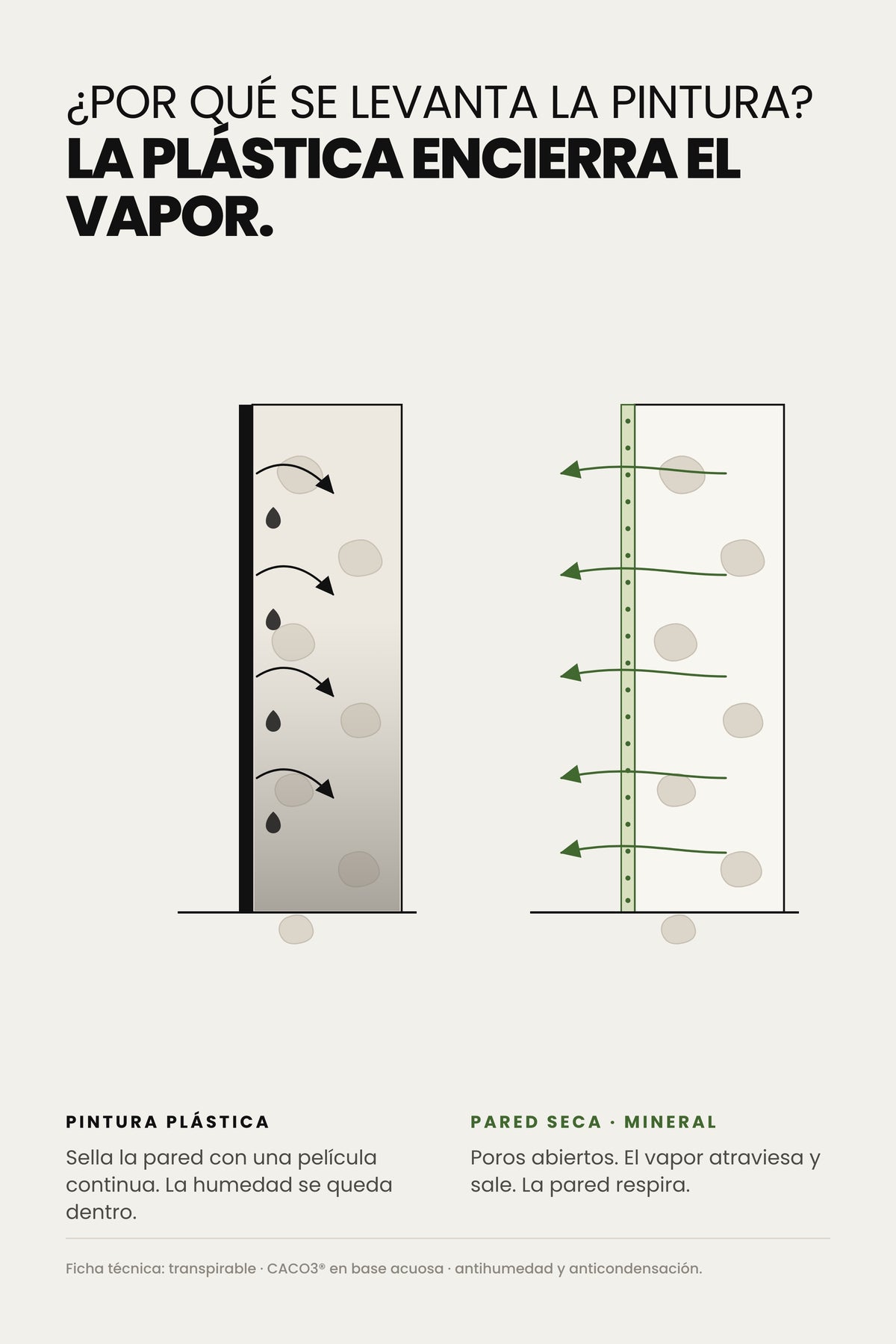 Esquema: la pintura plástica encierra el vapor y la pintura se levanta; la pintura mineral Pared Seca lo deja salir