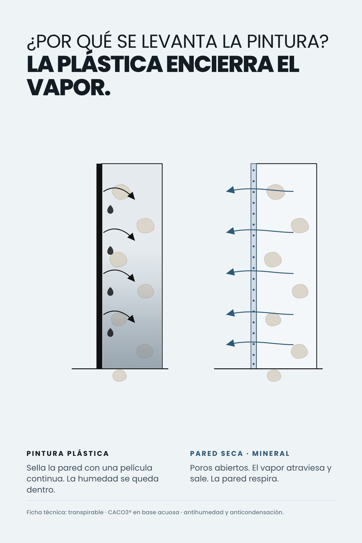 Por qué se levanta la pintura: la plástica encierra el vapor y la mineral lo deja salir